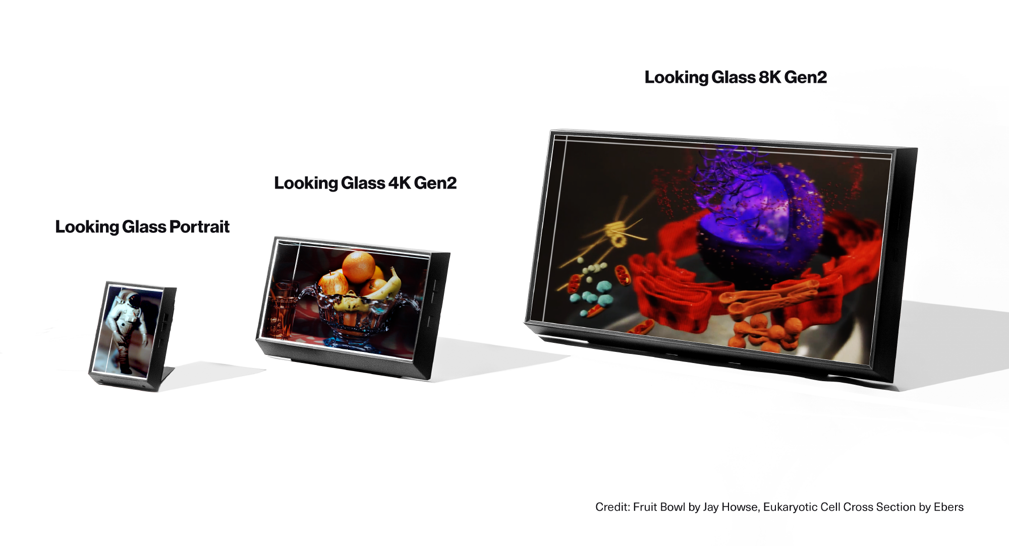 Looking Glass Displays Overview — Holoxica Limited